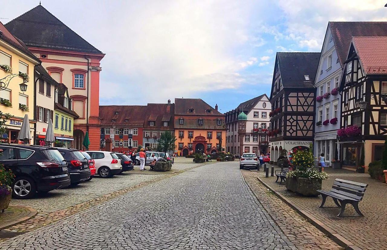 Blackforest Home Gengenbach Nahe Europapark Rust Dış mekan fotoğraf